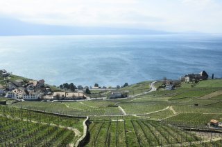 L'association Léman sans Frontière (LSF) favorise les échanges de visiteurs entre les régions et valorise le patrimoine du bassin lémanique (photo symbolique). KEYSTONE/CHRISTIAN BEUTLER